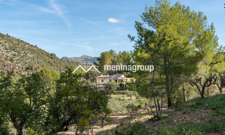 Venta · Finca · Jalon Valley