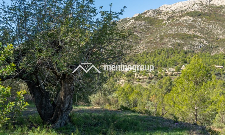 Venta · Finca · Jalon Valley