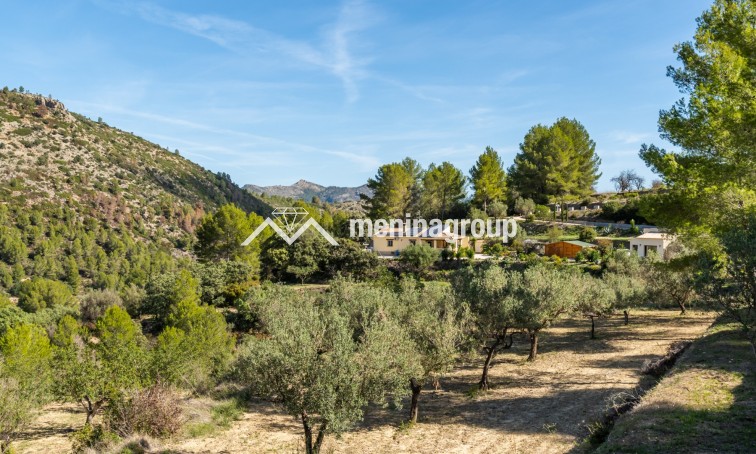 Venta · Finca · Jalon Valley