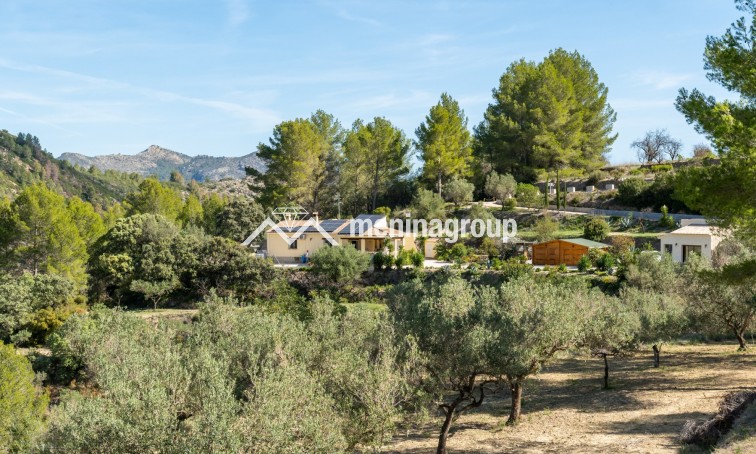 Venta · Finca · Jalon Valley