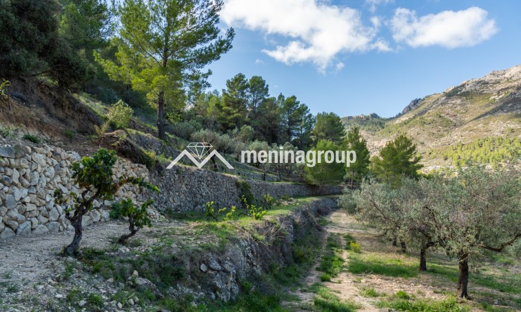 Venta · Finca · Jalon Valley