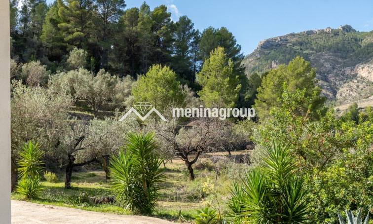 Venta · Finca · Jalon Valley