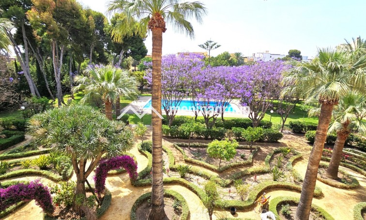 Verkoop · Appartement / flat · San Juan de Alicante