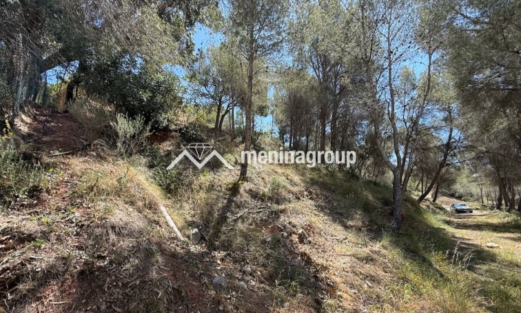 Vente · Terrain · Altea