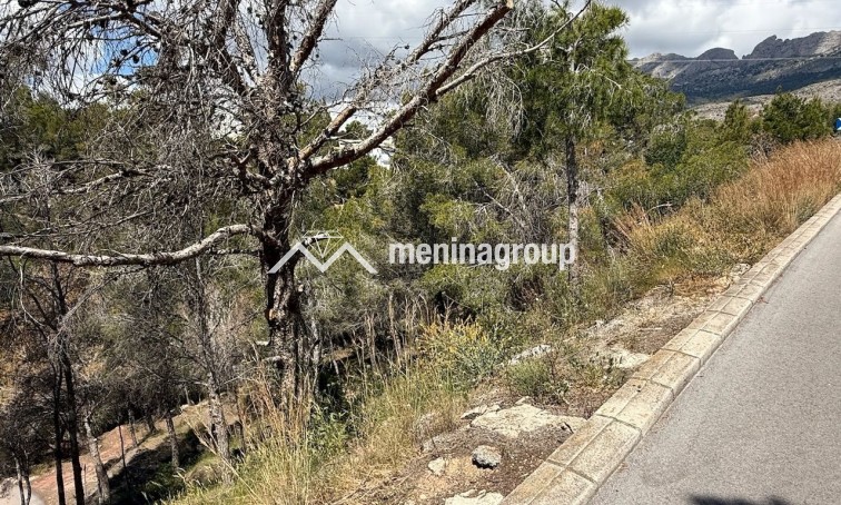 Vente · Terrain · Altea